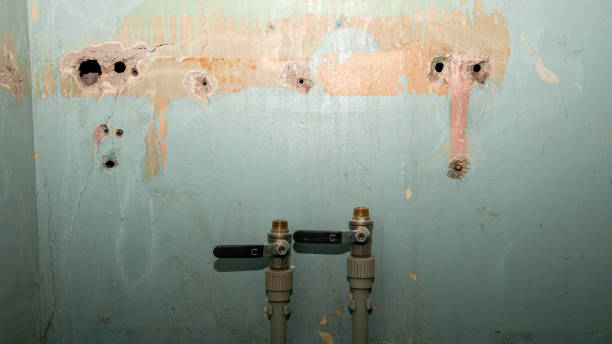 Carpet water damage restoration in MO