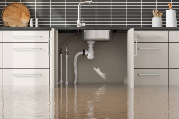 Best Emergency water damage restoration  in Salisbury, MO